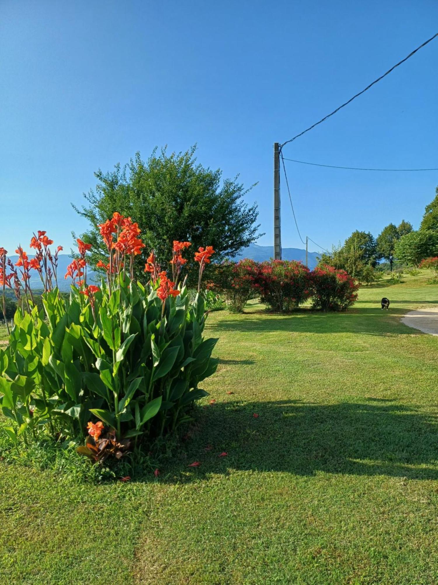 Le Pouyet Apartment Saint-Lattier Luaran gambar